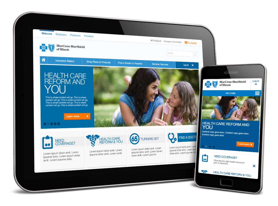 Blue Cross Blue Shield image