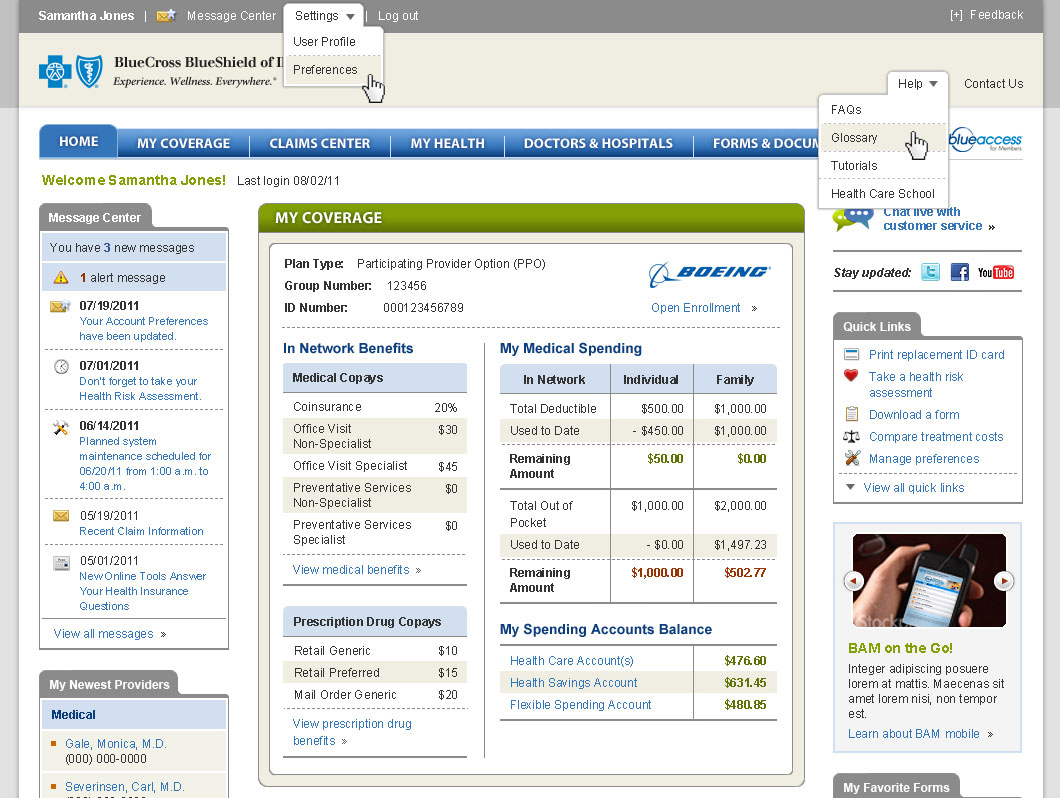 Blue Cross Blue Shield image